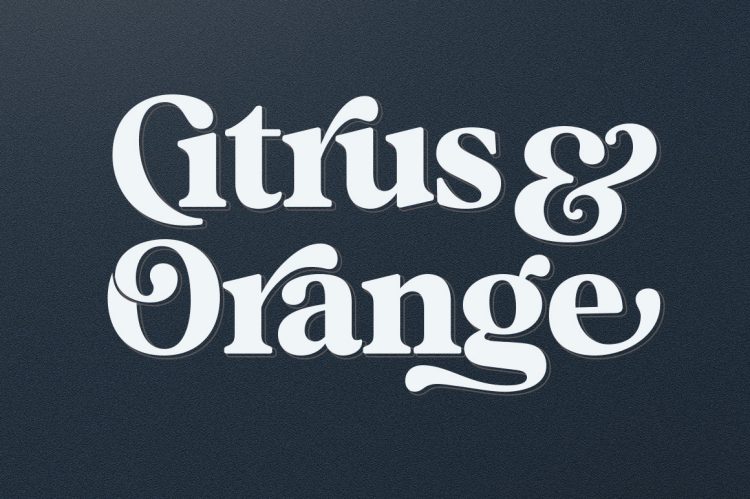 elegant serif