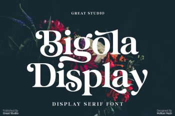 display serif font