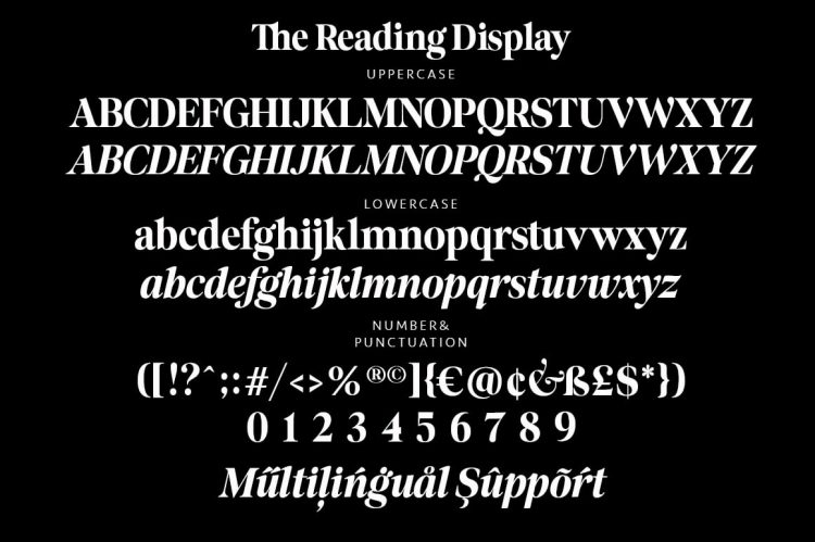 Display Serif Font