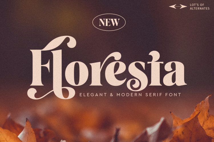 elegant modern serif font