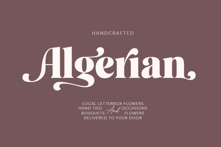 elegant modern serif font