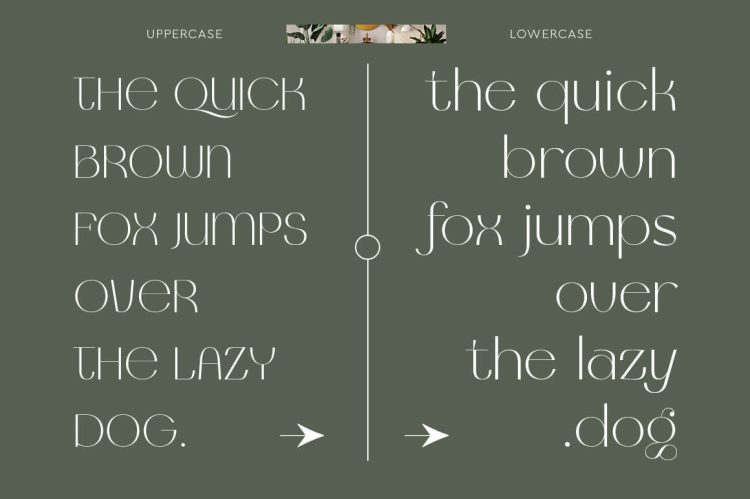 glamour luxury typeface