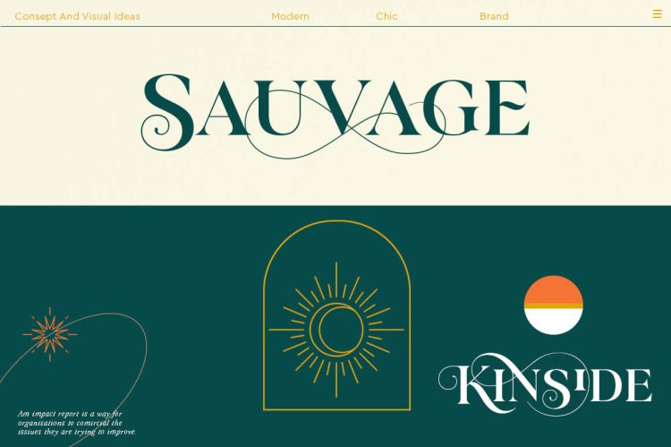 modern classy serif typeface