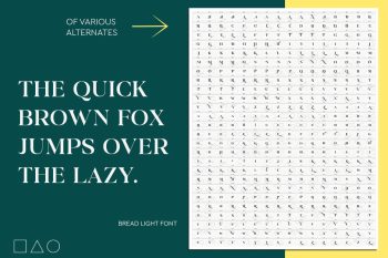 modern classy serif typeface