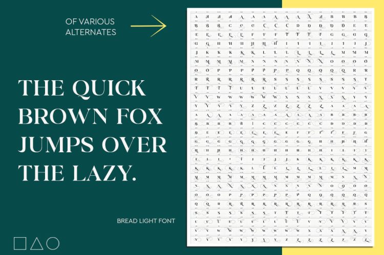 modern classy serif typeface