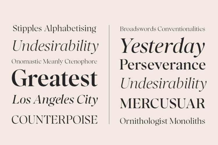 modern luxury and beaty serif font