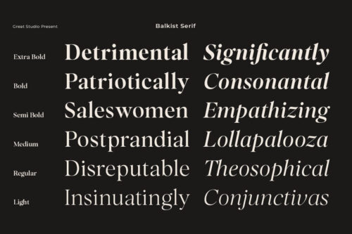 modern luxury and beaty serif font