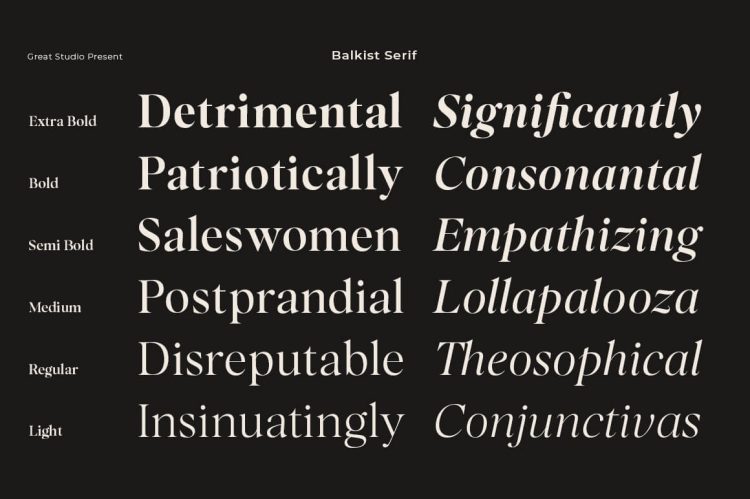 modern luxury and beaty serif font