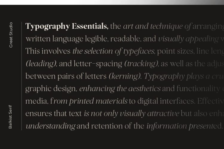 modern luxury and beaty serif font