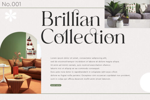 modern serif font