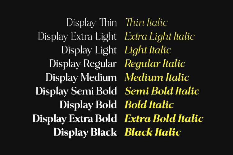 Serif Font Family