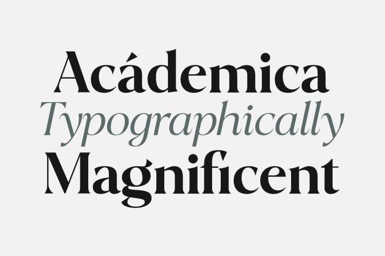 Serif Font Family