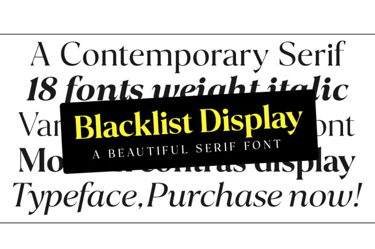 Serif Font Family