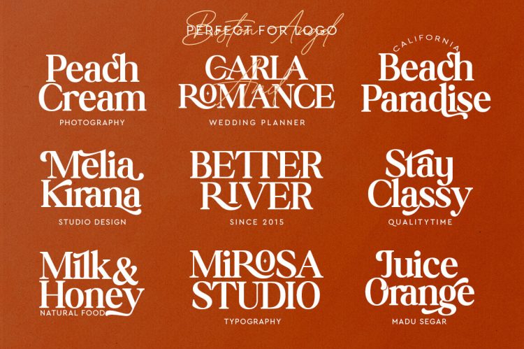 modern vintage serif font family