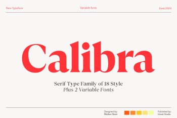 Serif Type Family