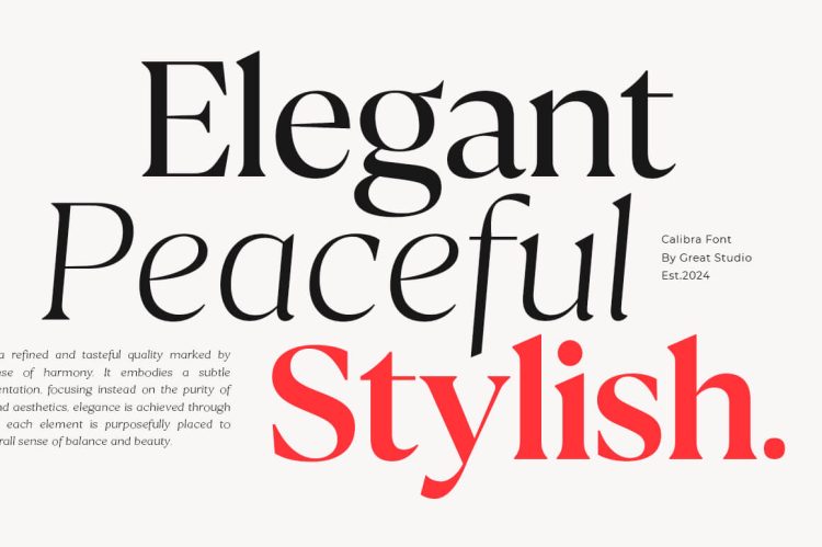 Serif Type Family