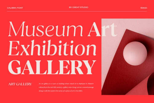 Serif Type Family