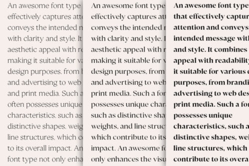Serif Type Family