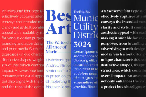 Serif Type Family