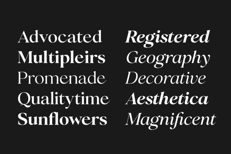Editorial Serif